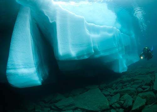 تصاویر شگفت انگیز از شنا زیر آب های دریاچه یخی www.TAFRIHI.com