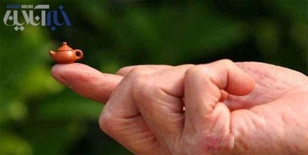 تصاویر جالب: کوچکترین‌های دنیا در گینس! www.TAFRIHI.com