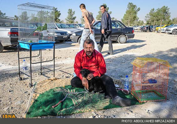 تصاویر: بورس پرنده‌ فروشی در تهران