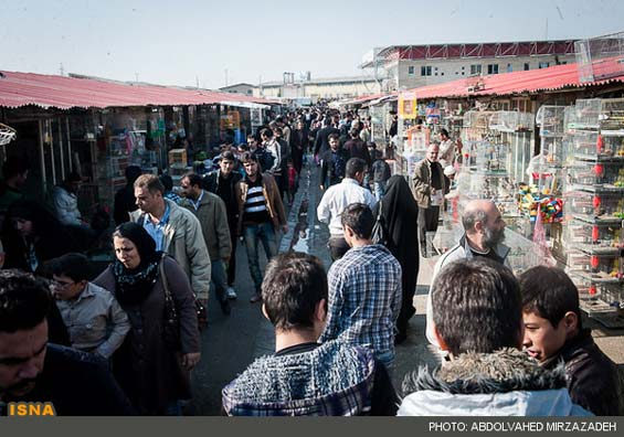 تصاویر: بورس پرنده‌ فروشی در تهران