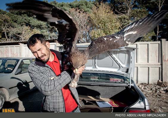 تصاویر: بورس پرنده‌ فروشی در تهران