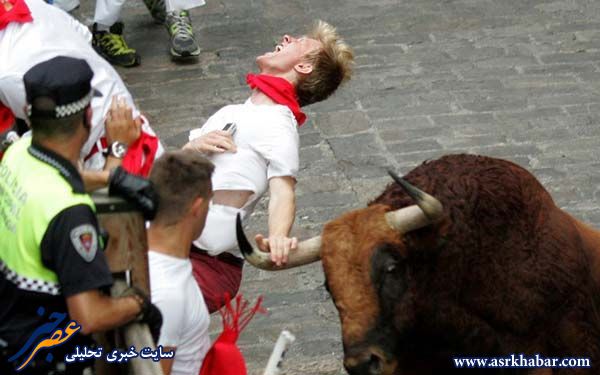 وقوع بی‌سابقه‌ترین تلفات جانی در مسابقات گاوبازی+تصاویر