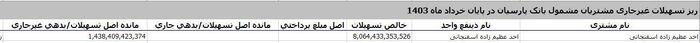 جزئیات بدهی میلیاردی «عظیم زاده» به بانک پارسیان/ وثایقی کمتر از وام ۸۰۶ میلیارد تومانی