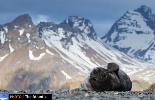 Ondrej Zaruba/National Geographic Photo Contest